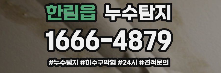 누수닥터 누수탐지