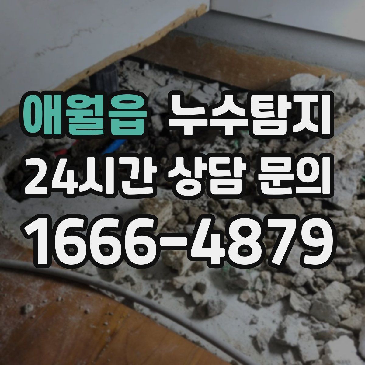 애월읍 누수탐지 전세 계약 전 하자 점검
