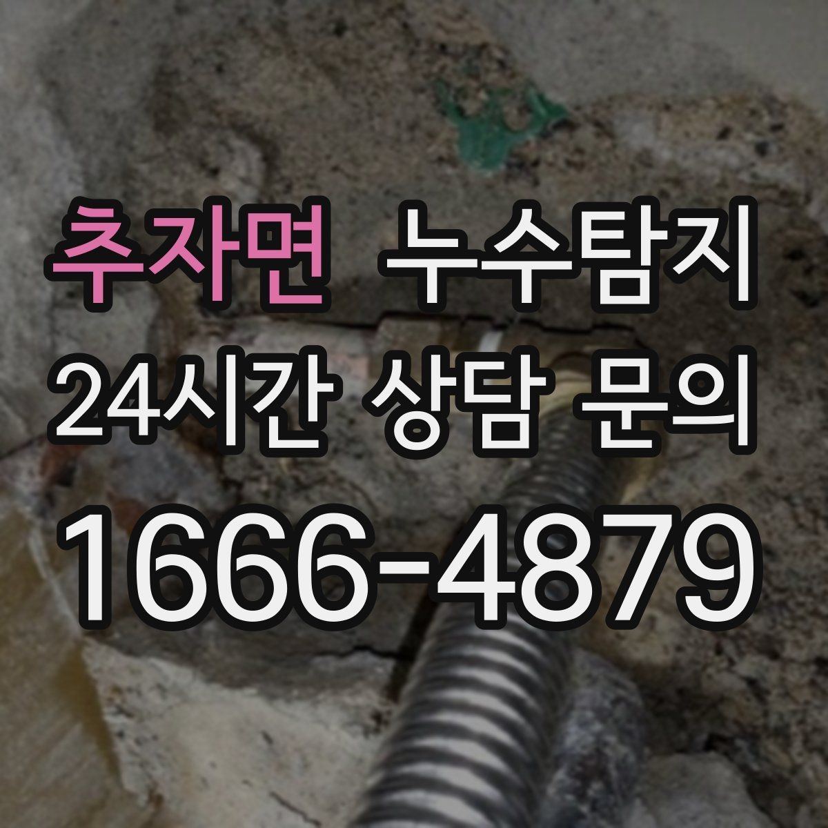 추자면 누수탐지 현관 바닥 습기 원인 제거