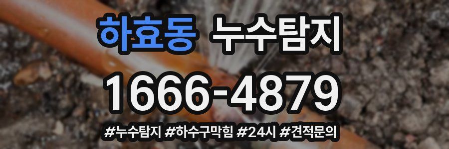 누수닥터 누수탐지
