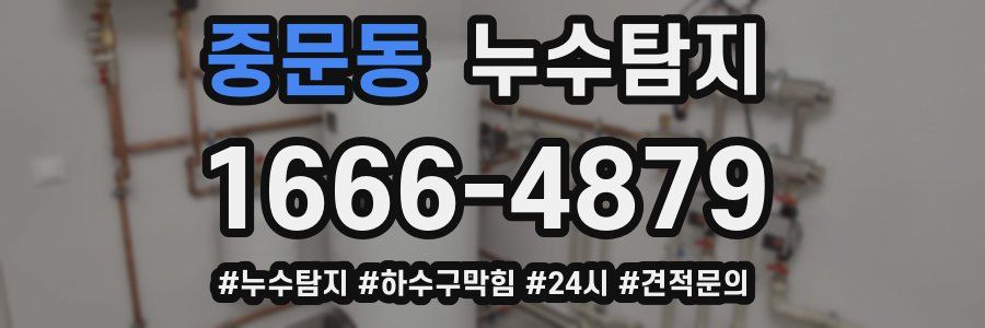 누수닥터 누수탐지