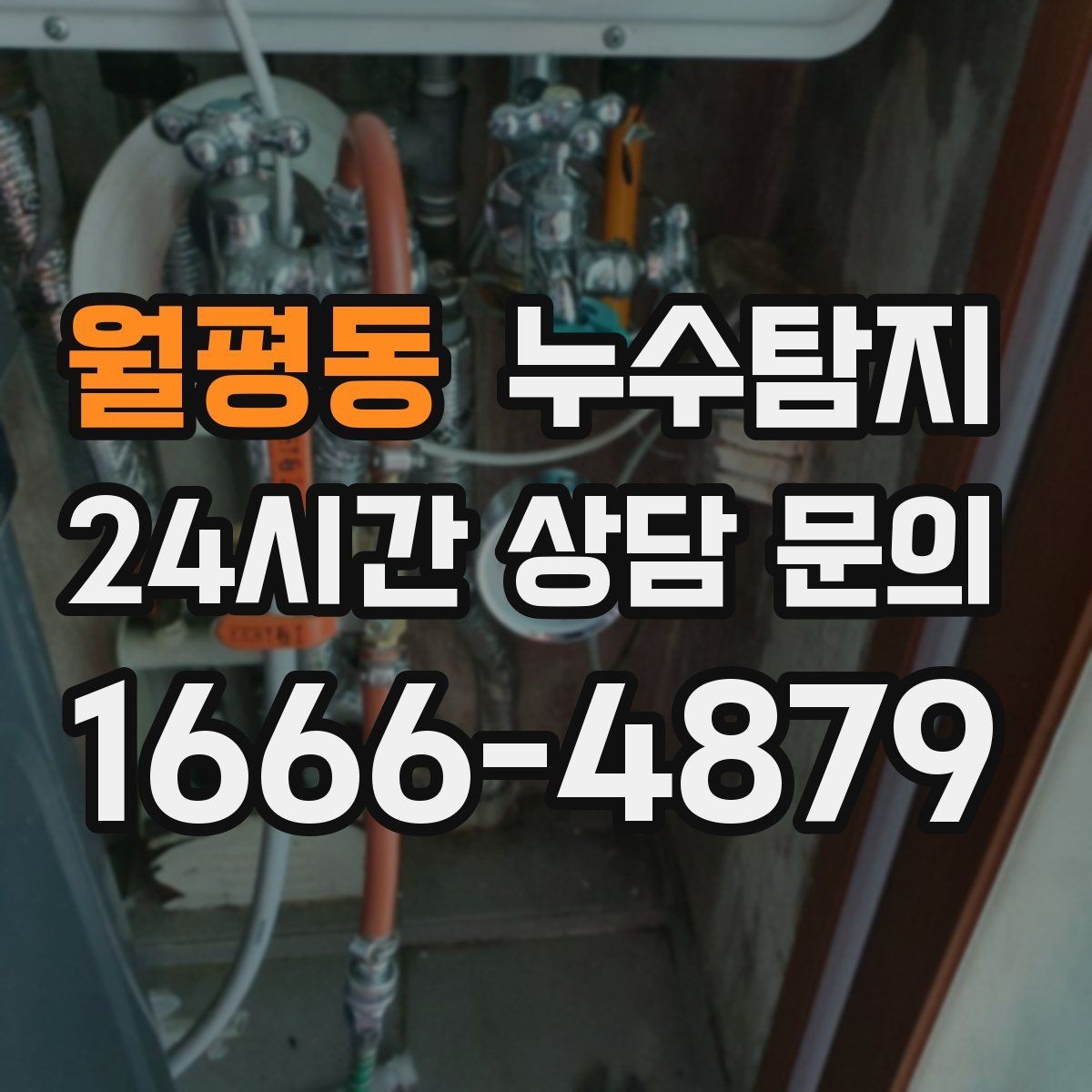 월평동 누수탐지 태풍 뒤 빠른 점검으로 안심