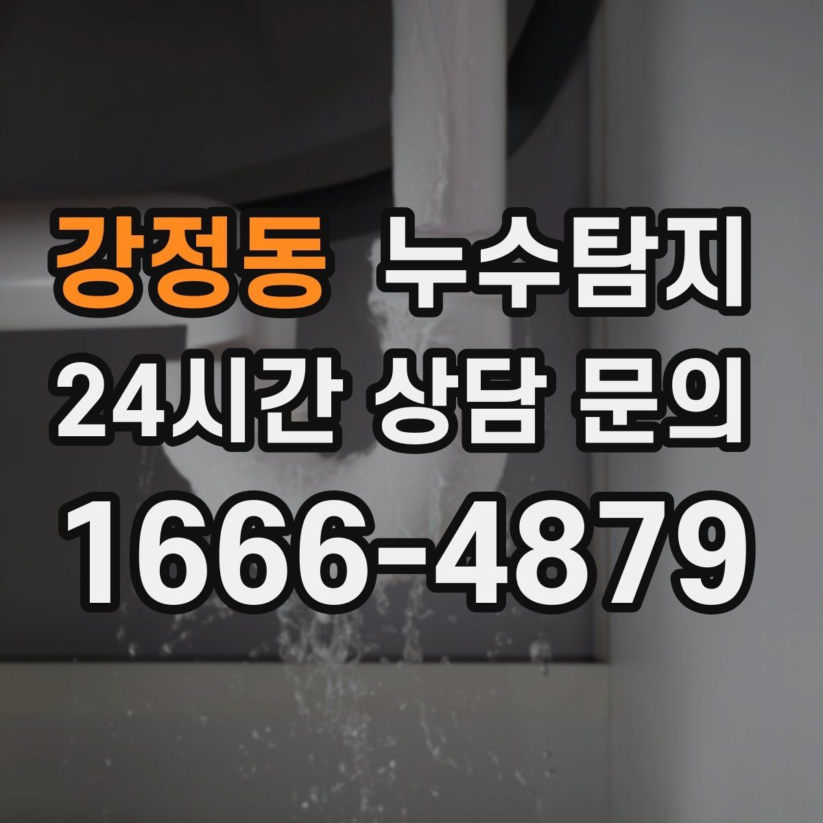 강정동 누수탐지 실내 곰팡이와 악취 방지를 위한 방법