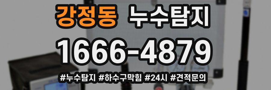 누수닥터 누수탐지
