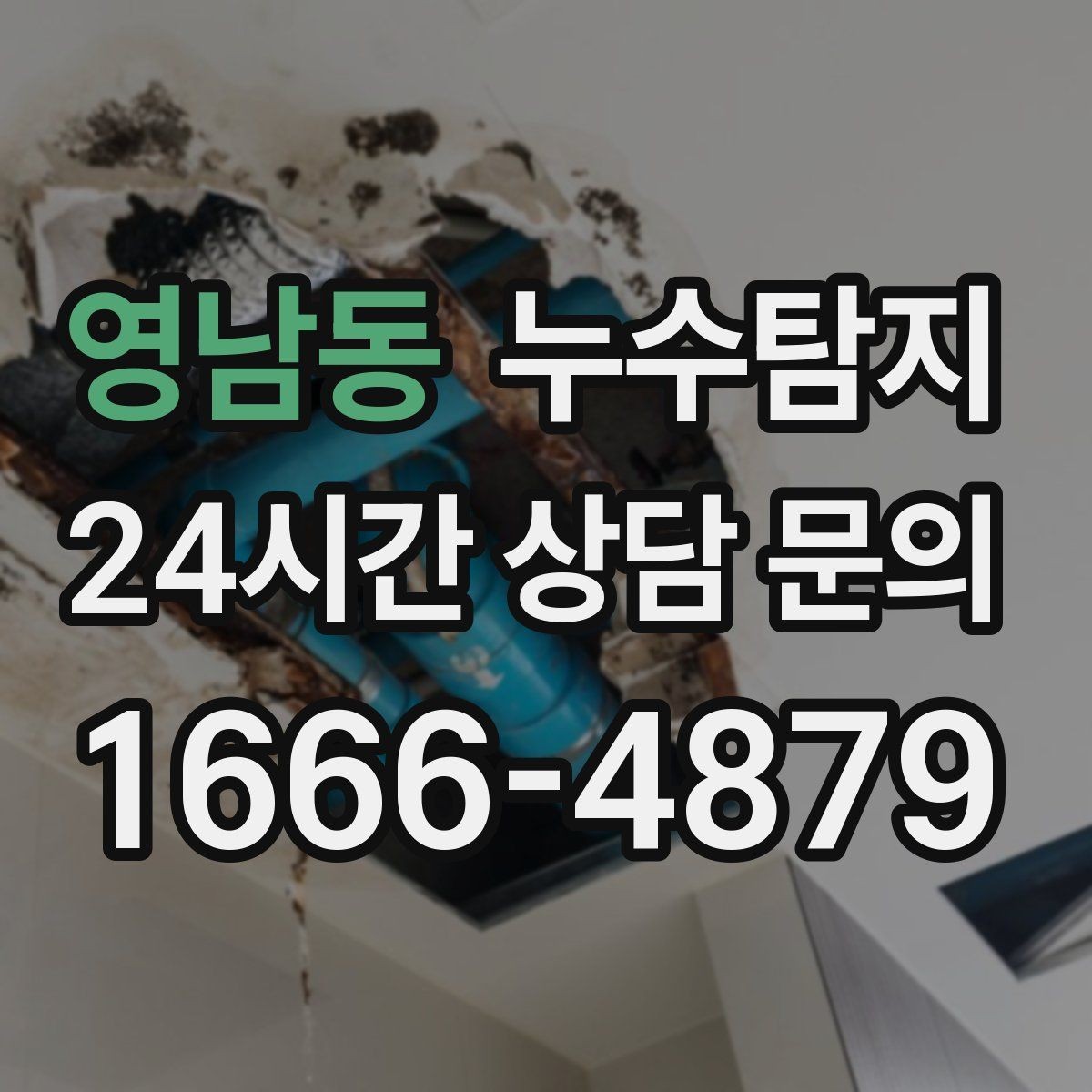 영남동 누수탐지 외벽 크랙 침투수 대응