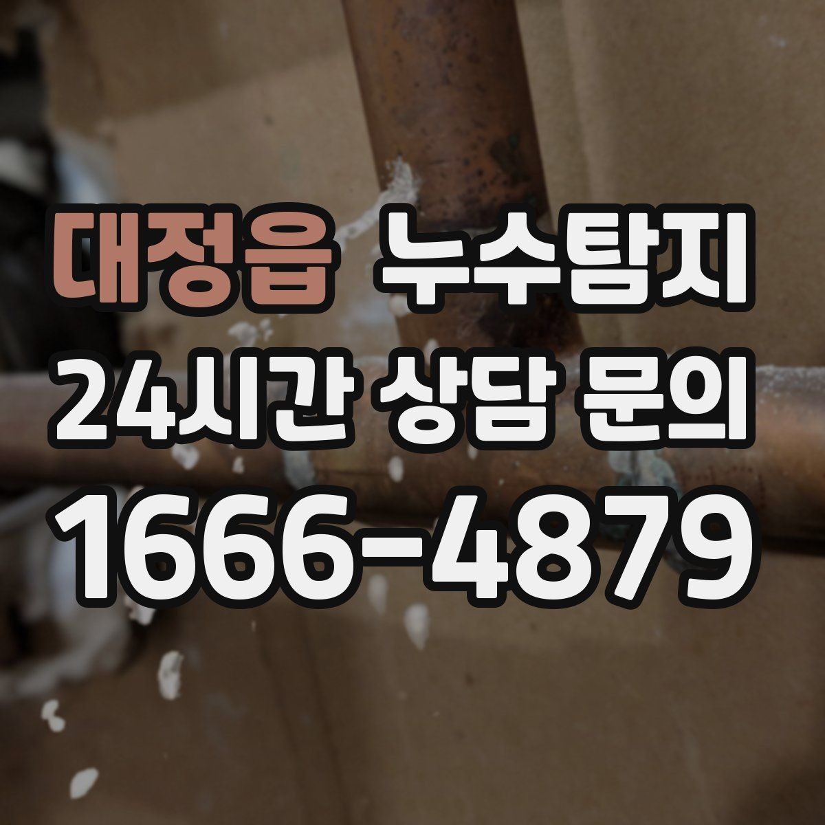 대정읍 누수탐지 단열 결로와 누수 구분 진단