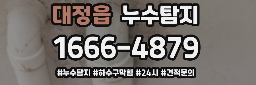 누수닥터 누수탐지