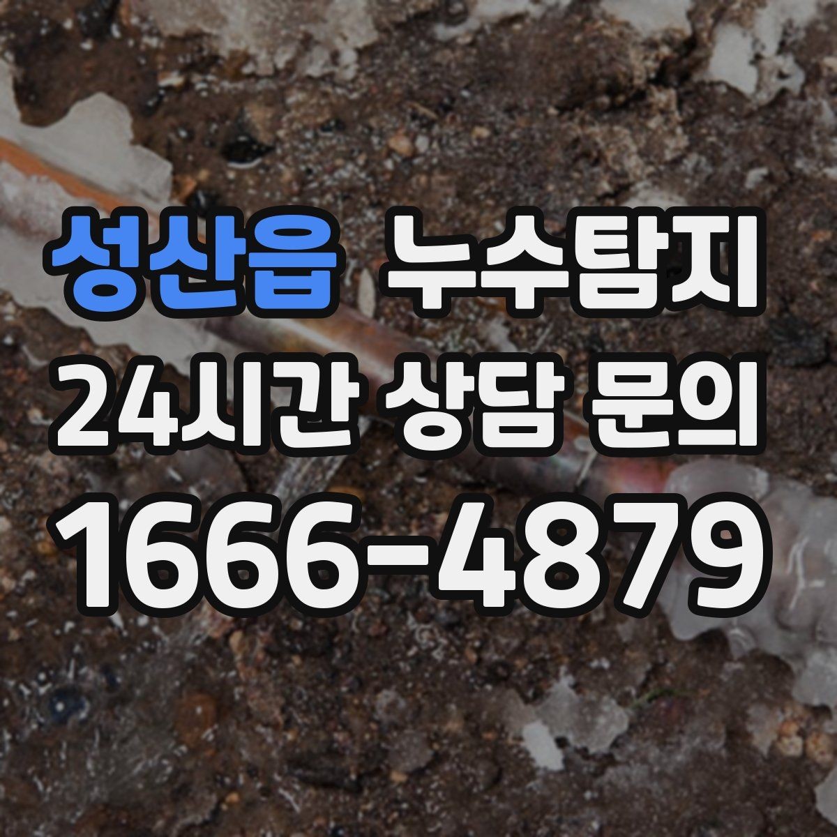 성산읍 누수탐지 드레스룸 곰팡이 없앤 하루