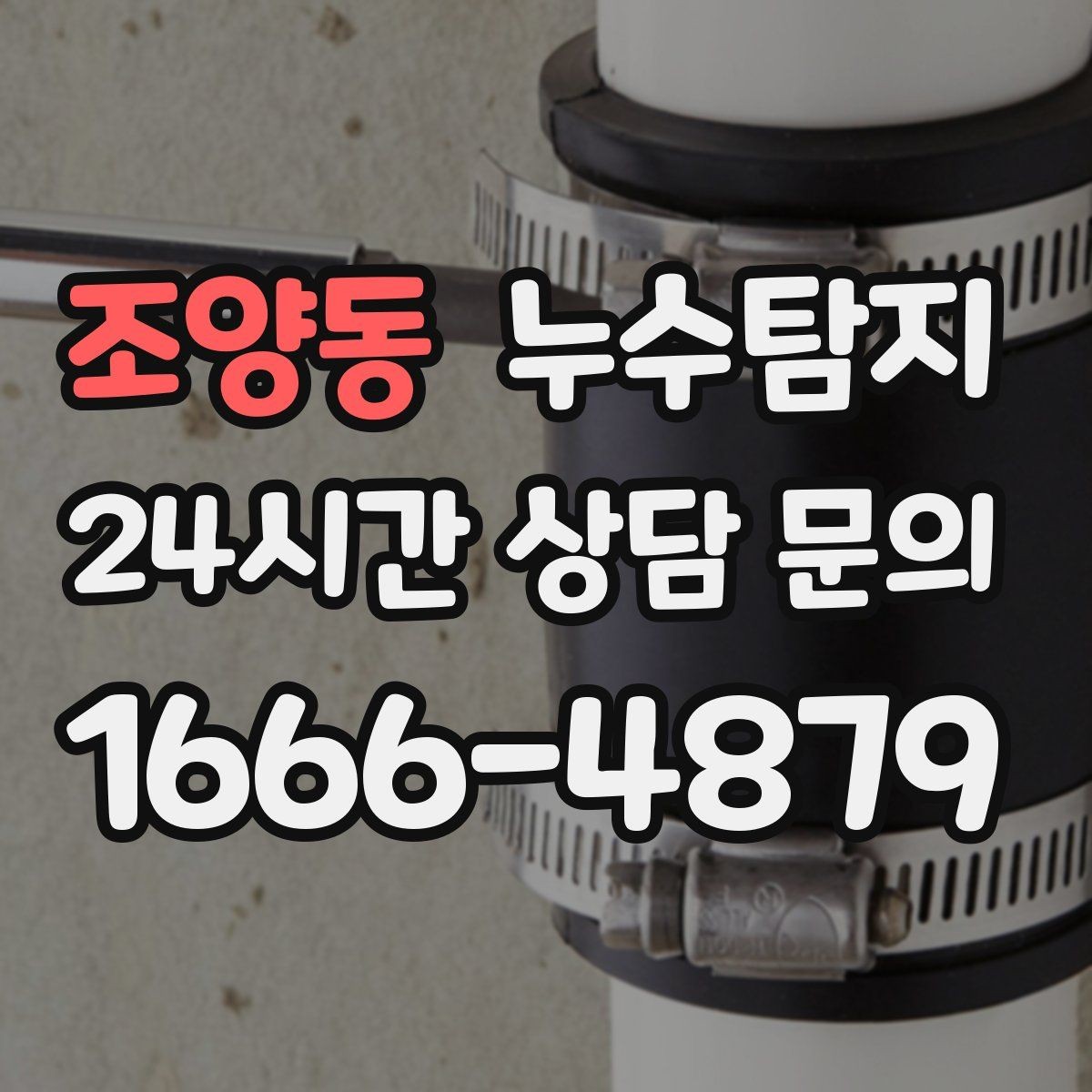 조양동 누수탐지 우리 집 맞춤 복구 설계