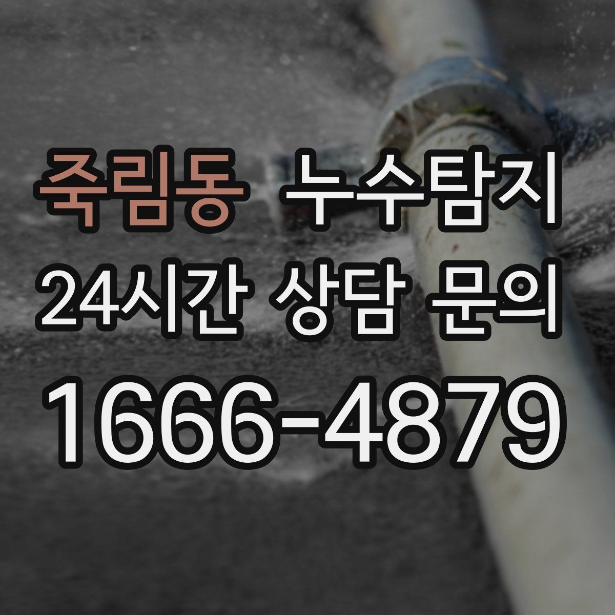 죽림동 누수탐지 전문 진단 서비스