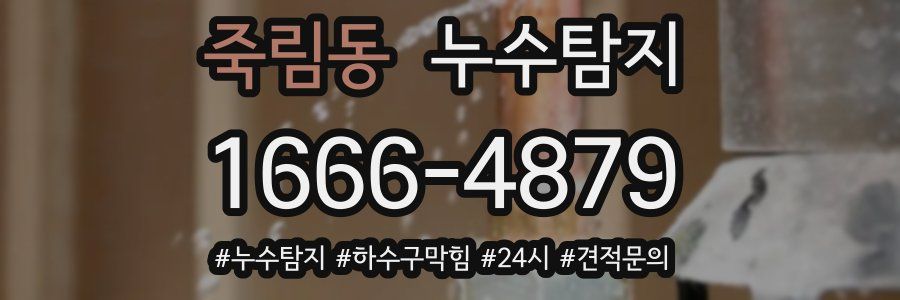 누수닥터 누수탐지