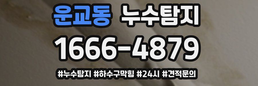 누수닥터 누수탐지