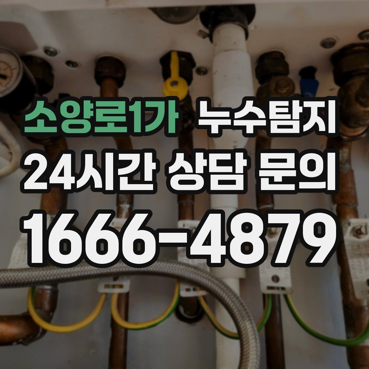 소양로1가 누수탐지 상가 영업 중 조용한 점검기