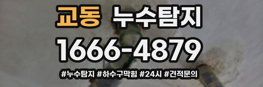 누수닥터 누수탐지