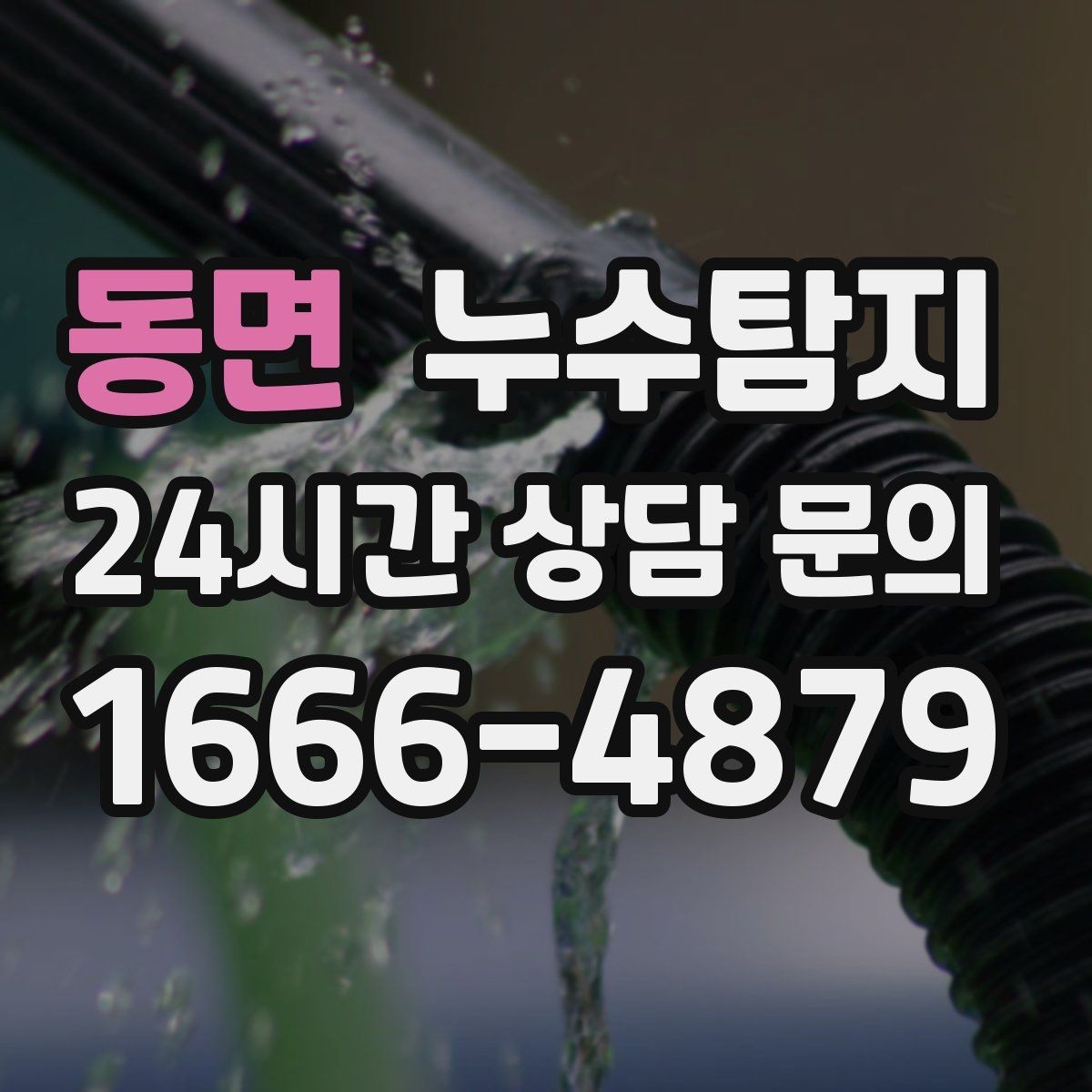 동면 누수탐지 바닥 습기 근본 원인 점검