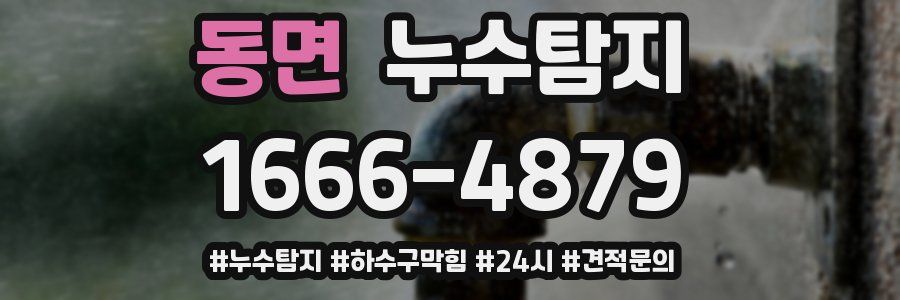 누수닥터 누수탐지