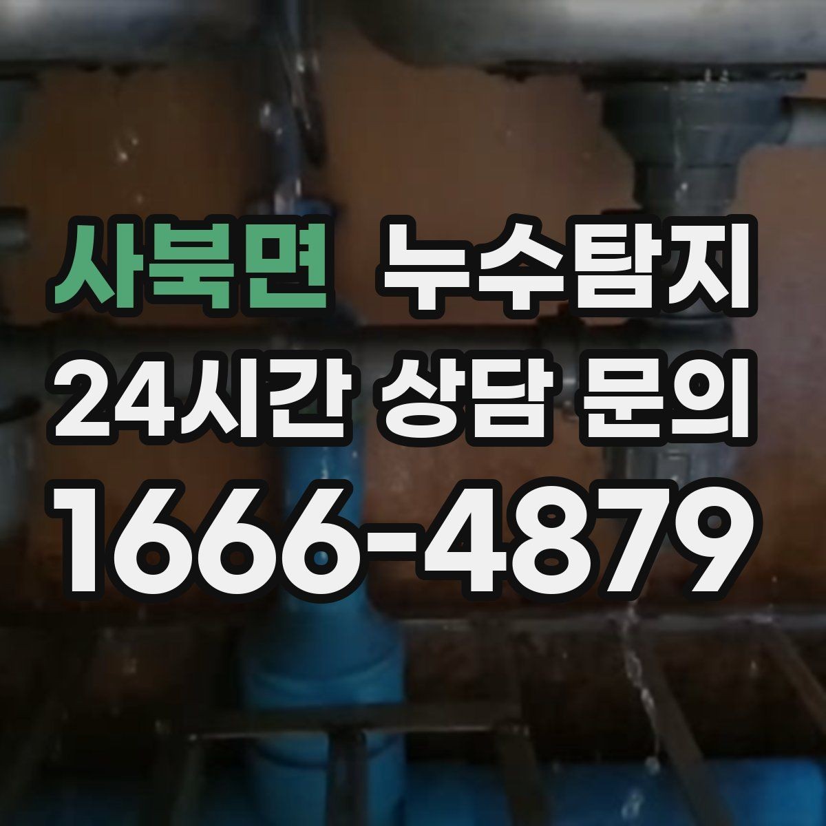 사북면 누수탐지 장판 들뜸 해결까지의 기록