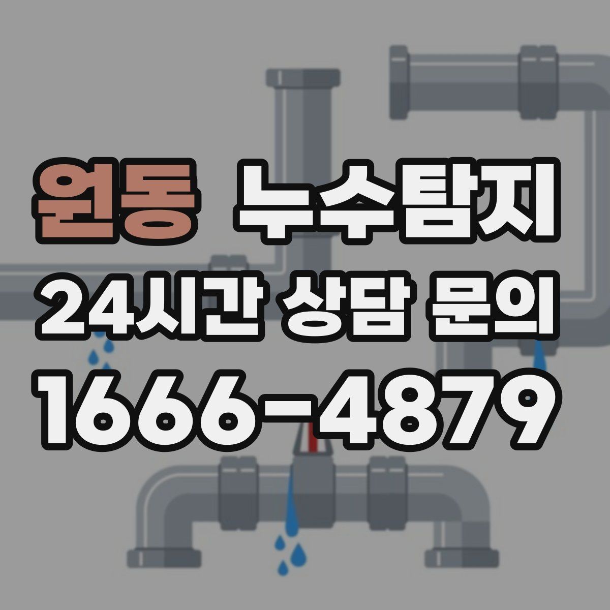 원동 누수탐지 실내 곰팡이와 악취 방지를 위한 방법