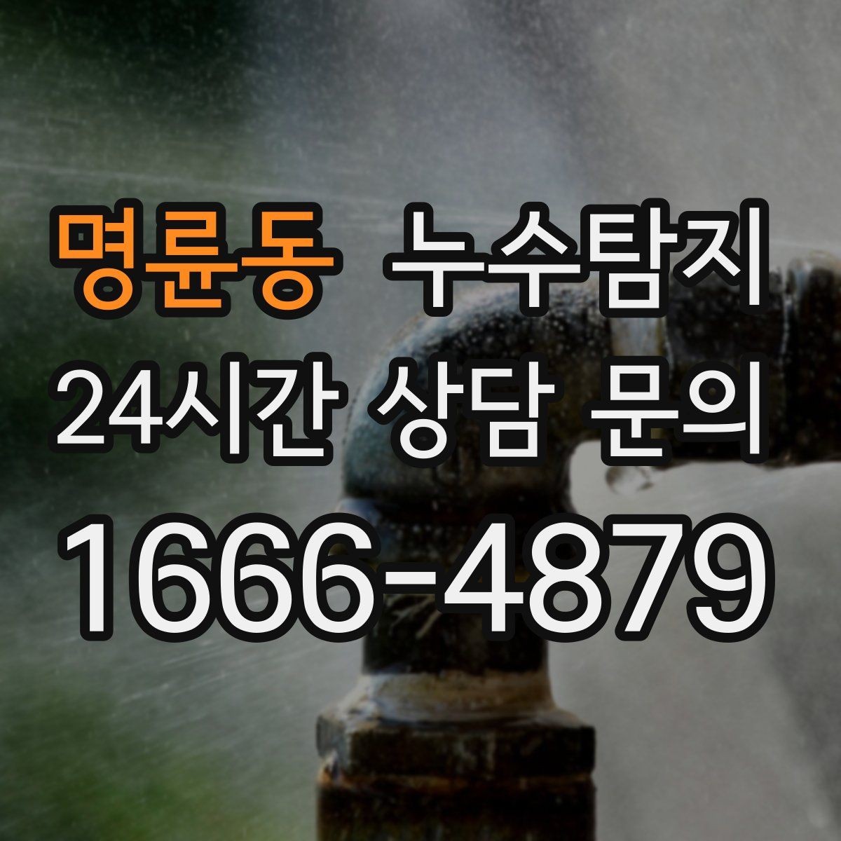 명륜동 누수탐지 당일 상담과 긴급 점검 이용 후기