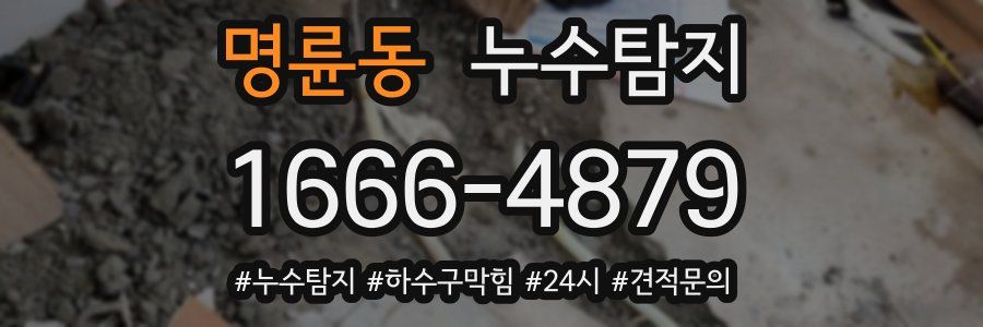 누수닥터 누수탐지