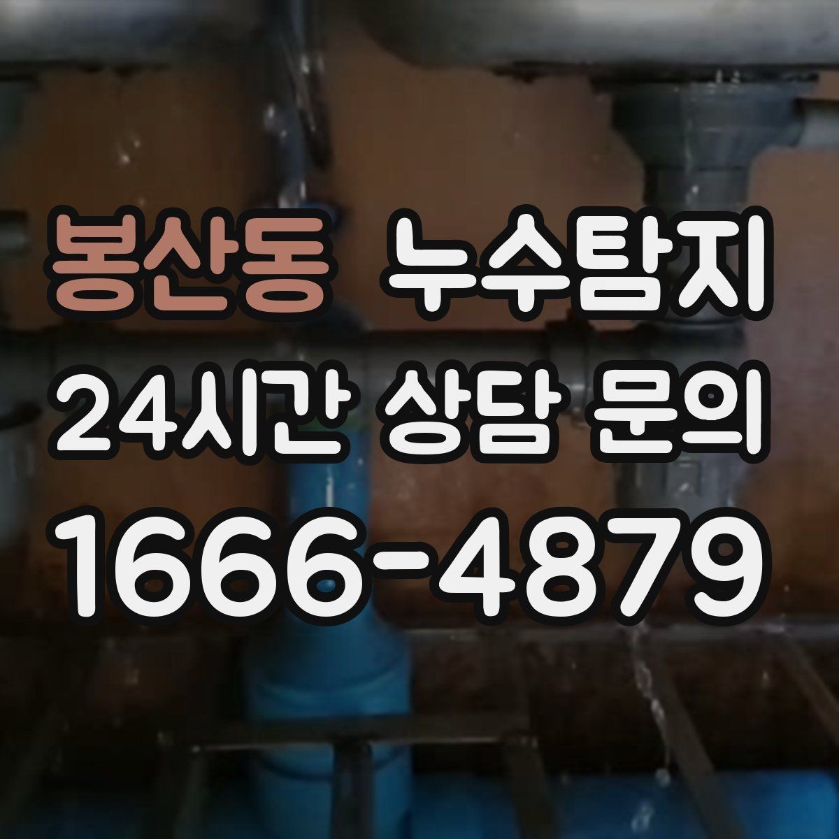 봉산동 누수탐지 카페 천장 얼룩 복구 경험담