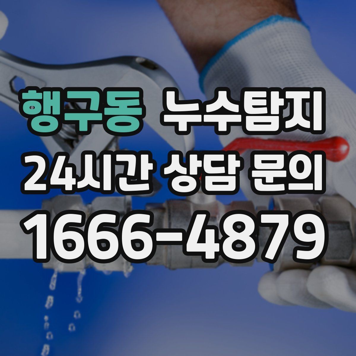 행구동 누수탐지 장판 들뜸 해결까지의 기록
