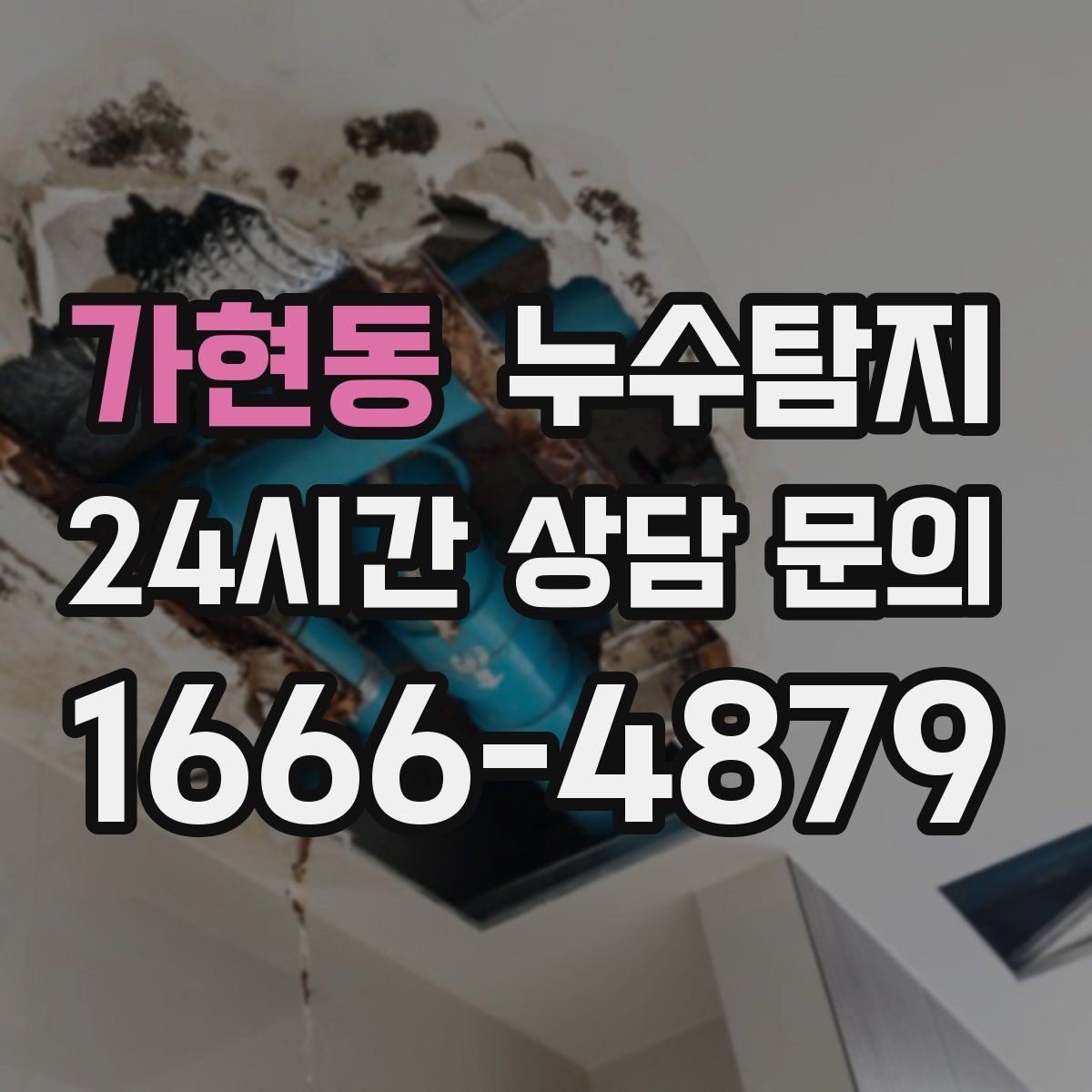 가현동 누수탐지 전열교환기 결로 구분 체험담