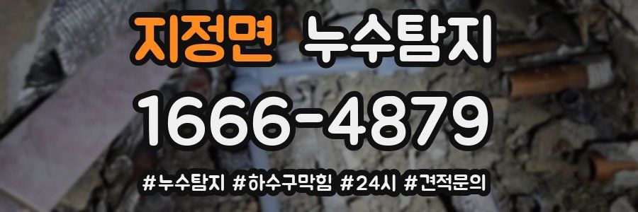 누수닥터 누수탐지