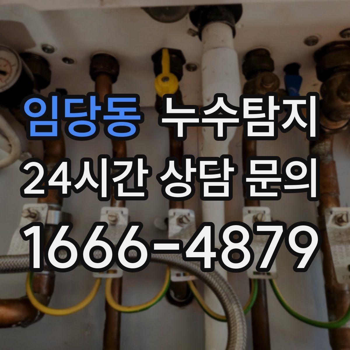임당동 누수탐지 시공사와 협업해 본 실제 과정