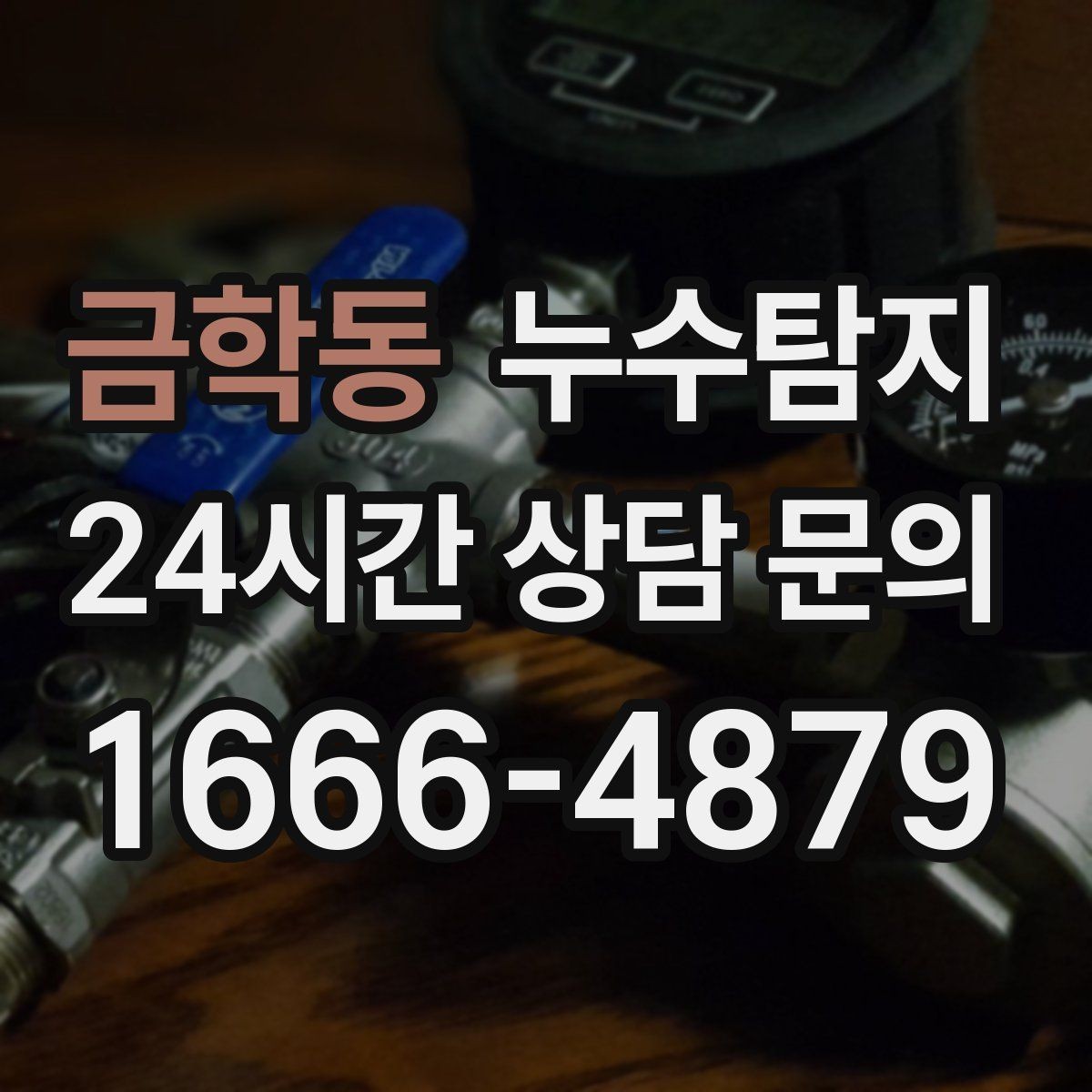 금학동 누수탐지 페인트 변색이 알려준 신호