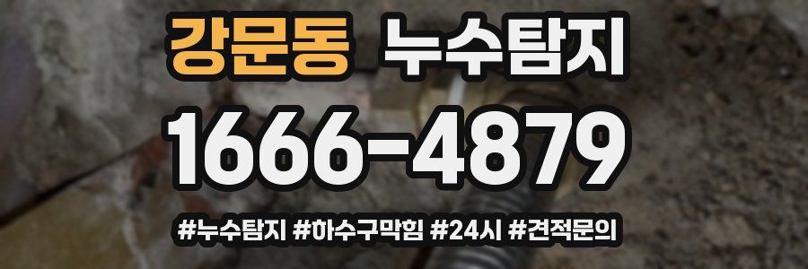 누수닥터 누수탐지