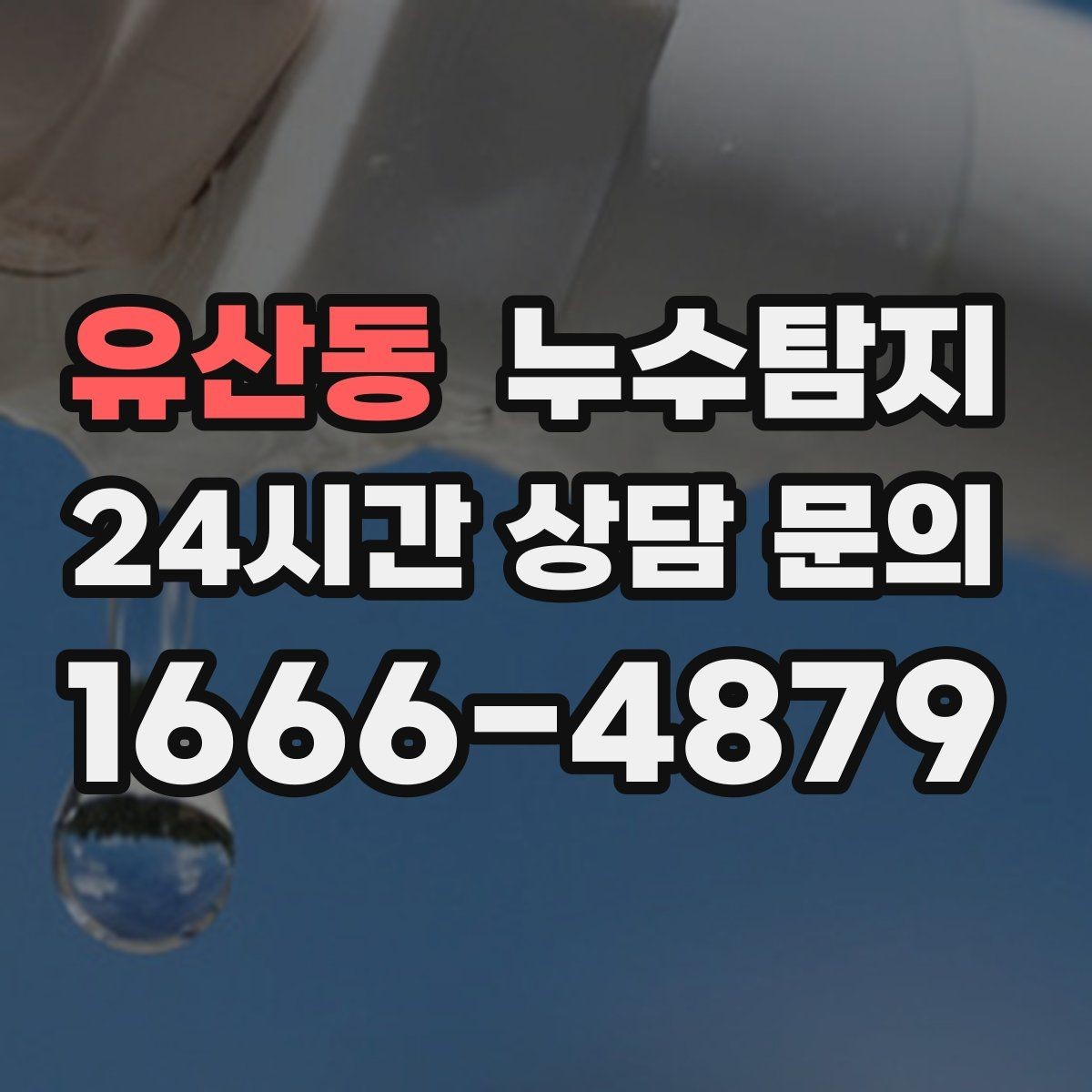 유산동 누수탐지 욕실 실리콘 노화 점검 에피소드