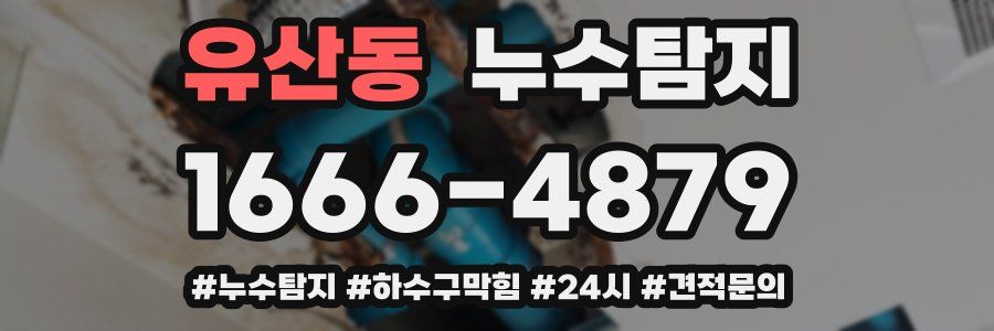 누수닥터 누수탐지