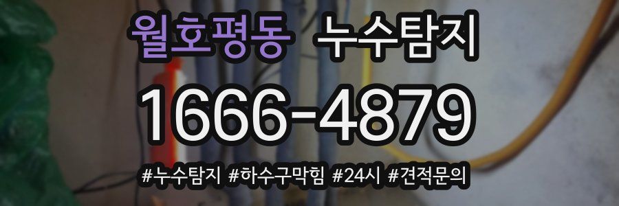 누수닥터 누수탐지
