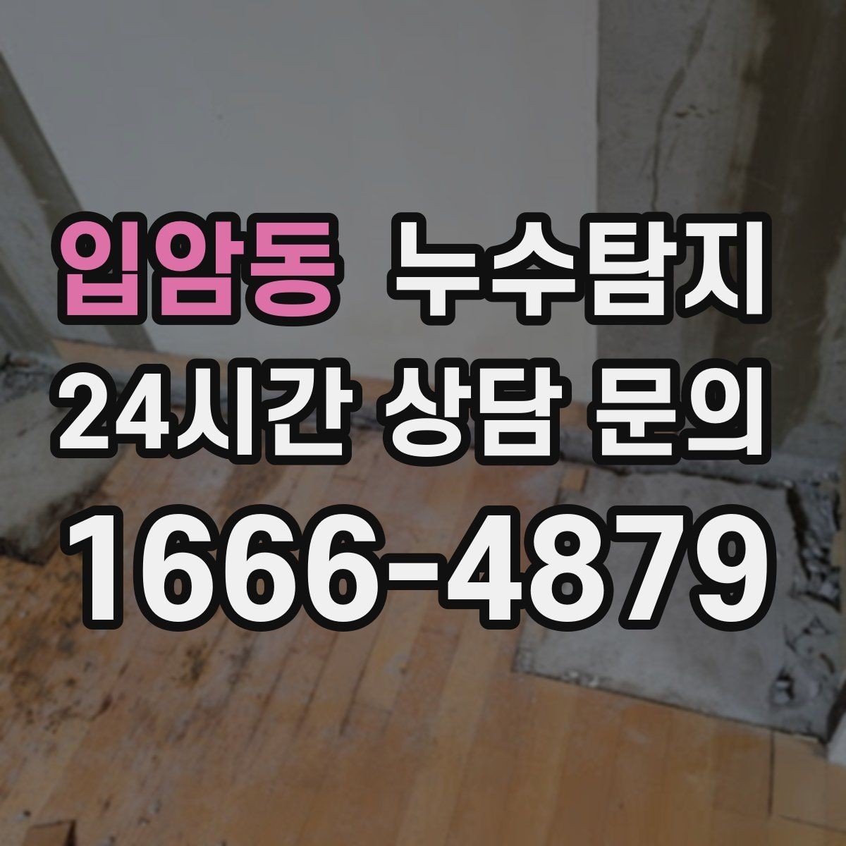 입암동 누수탐지 벽체 내부 소리로 찾은 단서
