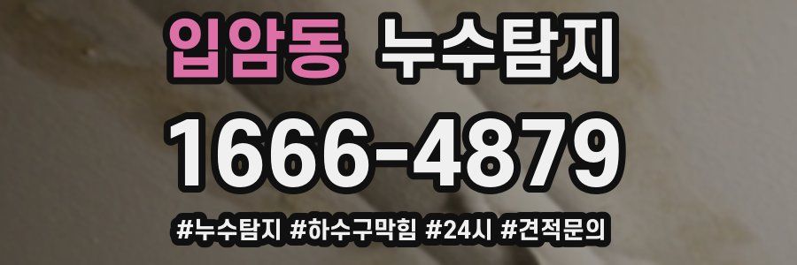 누수닥터 누수탐지