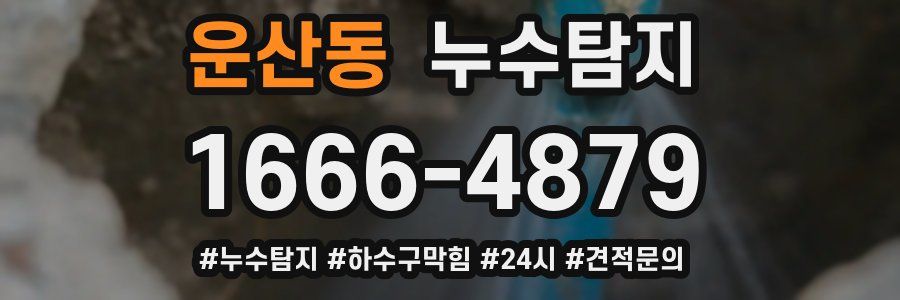 누수닥터 누수탐지