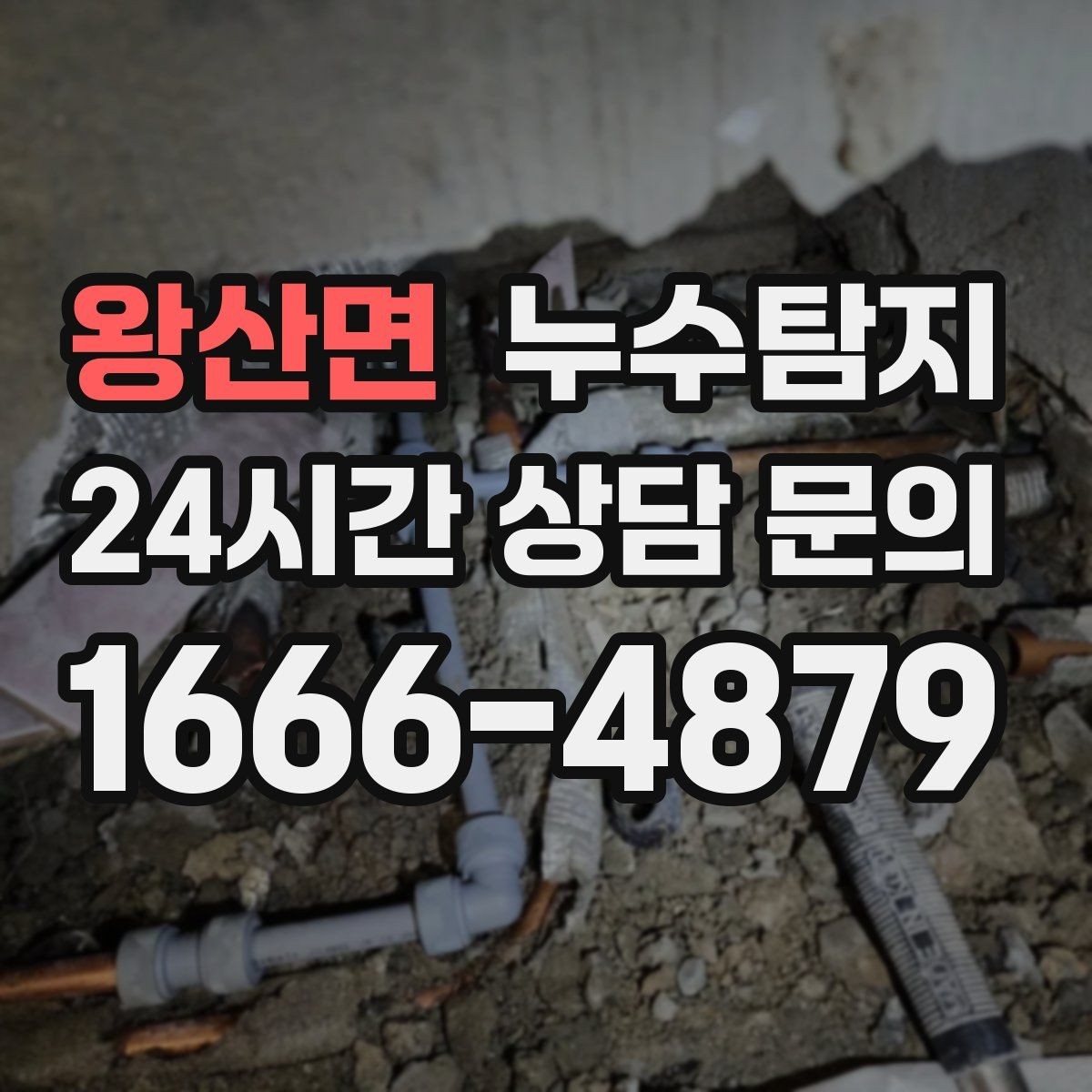 왕산면 누수탐지 반지하 습기 문제 해결기
