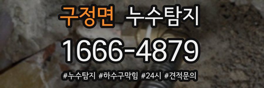 누수닥터 누수탐지
