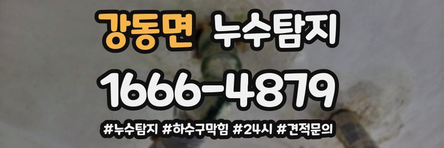 누수닥터 누수탐지