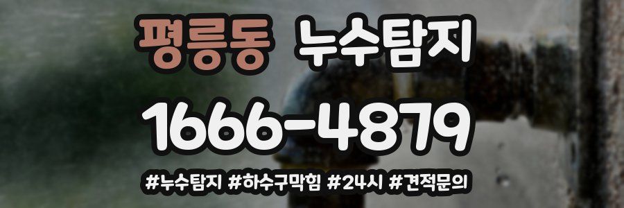 누수닥터 누수탐지