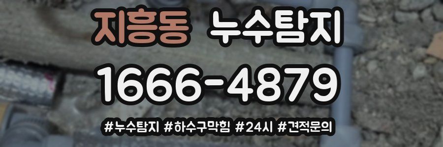 누수닥터 누수탐지