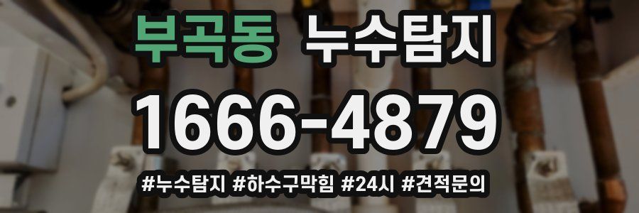 누수닥터 누수탐지