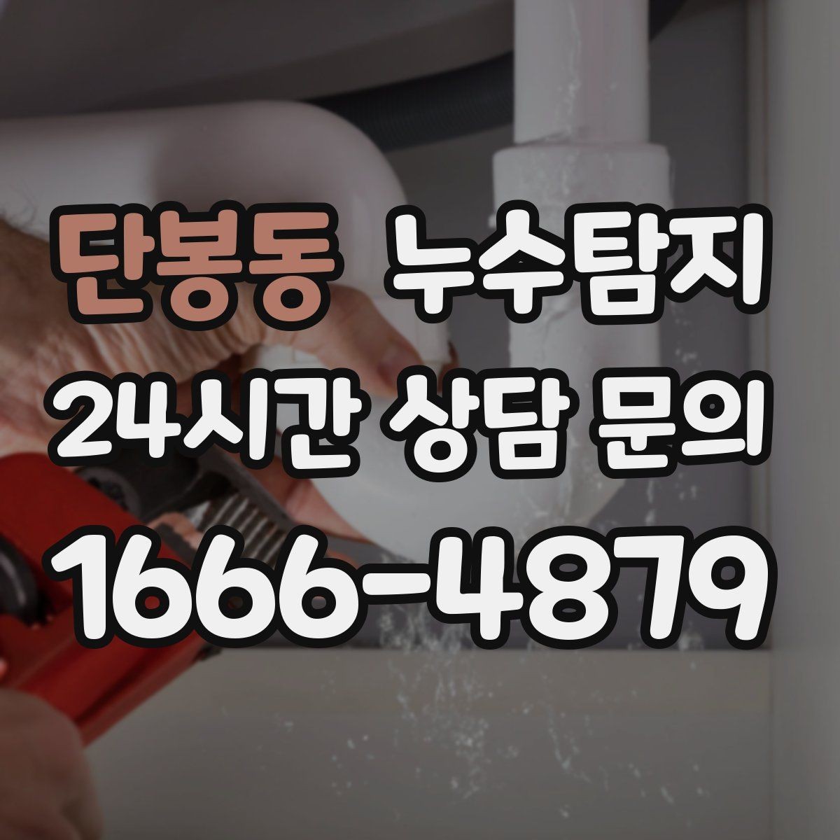 단봉동 누수탐지 타일 틈새 점검으로 찾은 누수