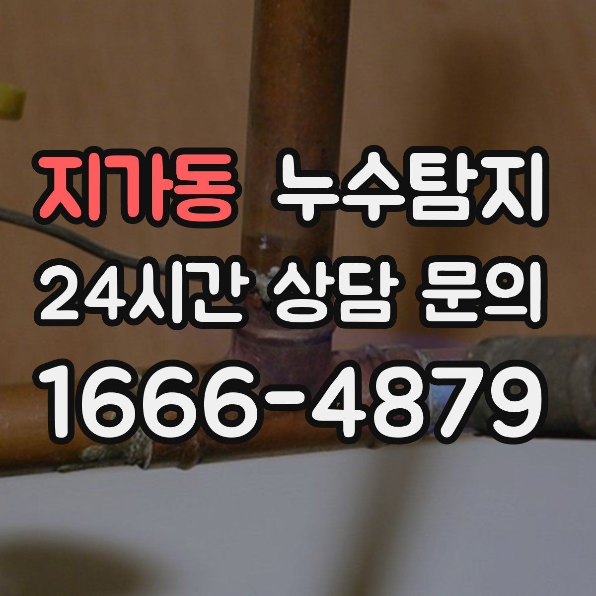 지가동 누수탐지 학교 시설 점검 사례 공유