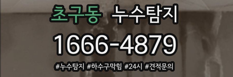 누수닥터 누수탐지