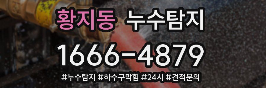 누수닥터 누수탐지