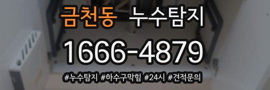 누수닥터 누수탐지