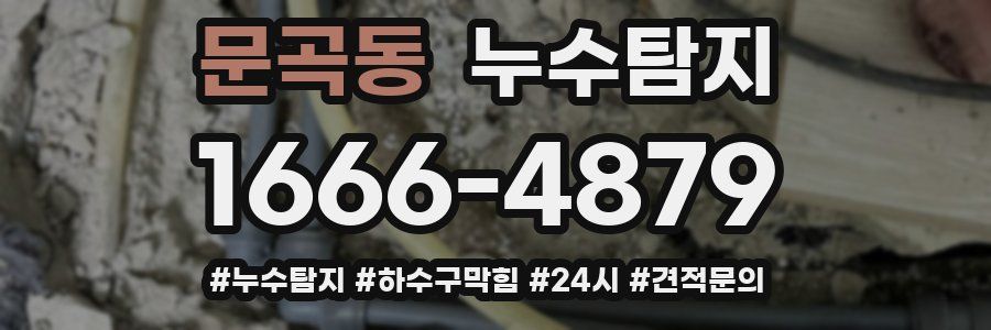 누수닥터 누수탐지