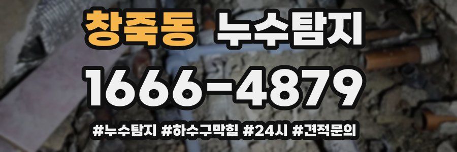 누수닥터 누수탐지